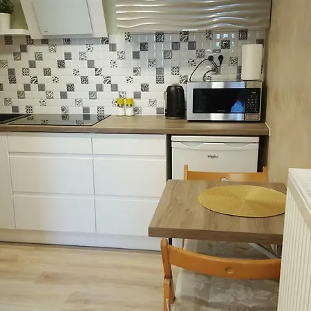 Kepa Mieszczanska Apartamento *